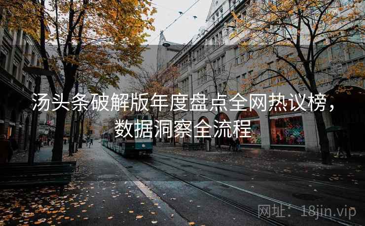 汤头条破解版年度盘点全网热议榜，数据洞察全流程