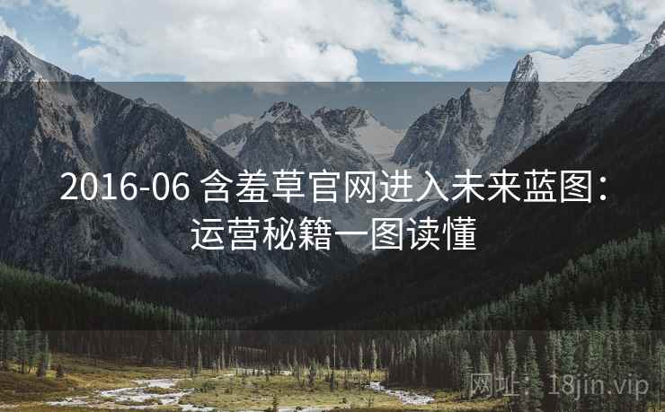 2016-06 含羞草官网进入未来蓝图：运营秘籍一图读懂