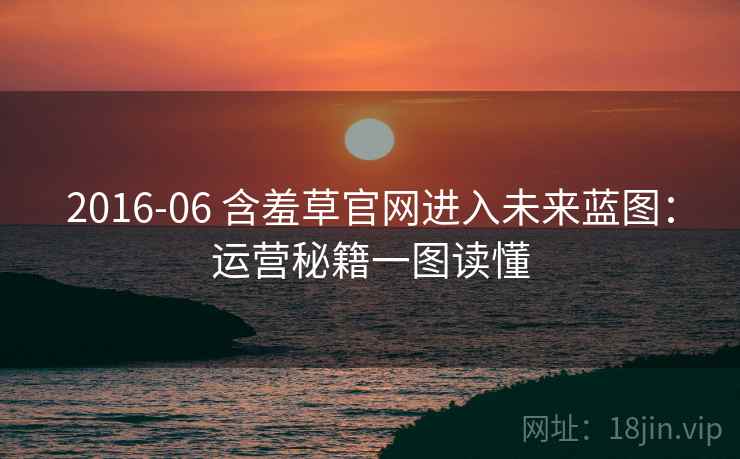 2016-06 含羞草官网进入未来蓝图：运营秘籍一图读懂