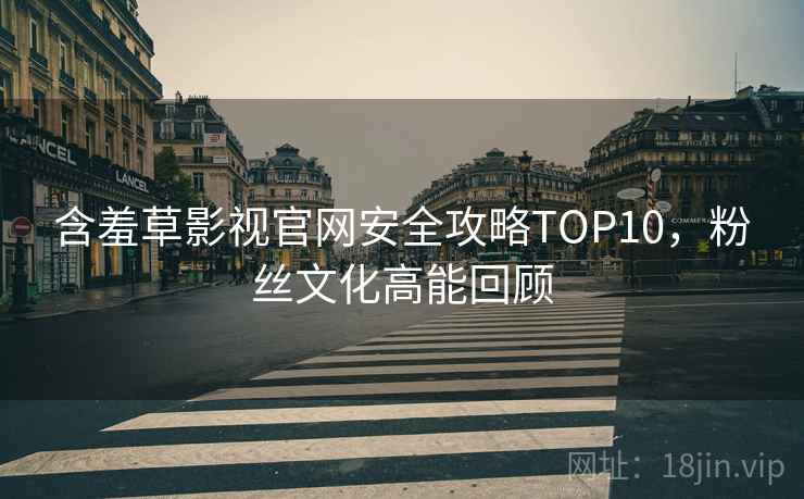含羞草影视官网安全攻略TOP10，粉丝文化高能回顾