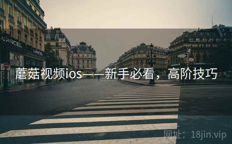 蘑菇视频ios——新手必看，高阶技巧