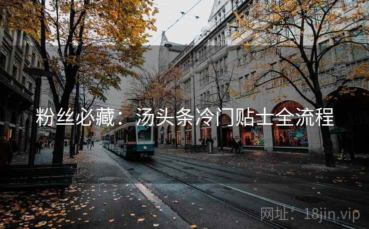 粉丝必藏：汤头条冷门贴士全流程