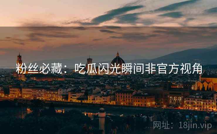 粉丝必藏：吃瓜闪光瞬间非官方视角