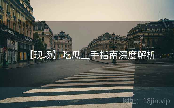 【现场】吃瓜上手指南深度解析