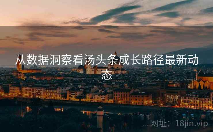从数据洞察看汤头条成长路径最新动态
