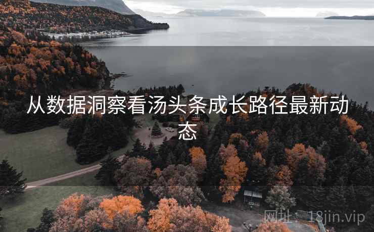 从数据洞察看汤头条成长路径最新动态